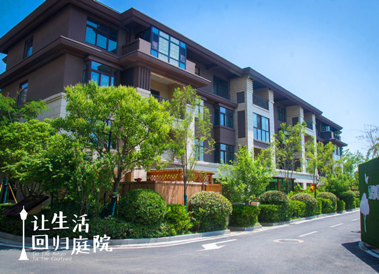 前后张望南阳50年：这样的天井，很难再有了！