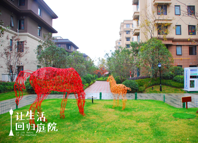 前后张望南阳50年：这样的天井，很难再有了！