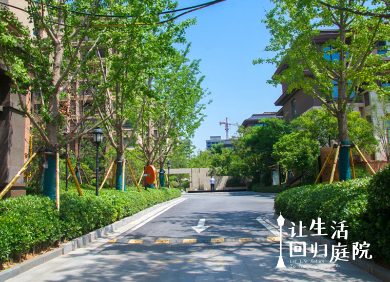 前后张望南阳50年：这样的天井，很难再有了！