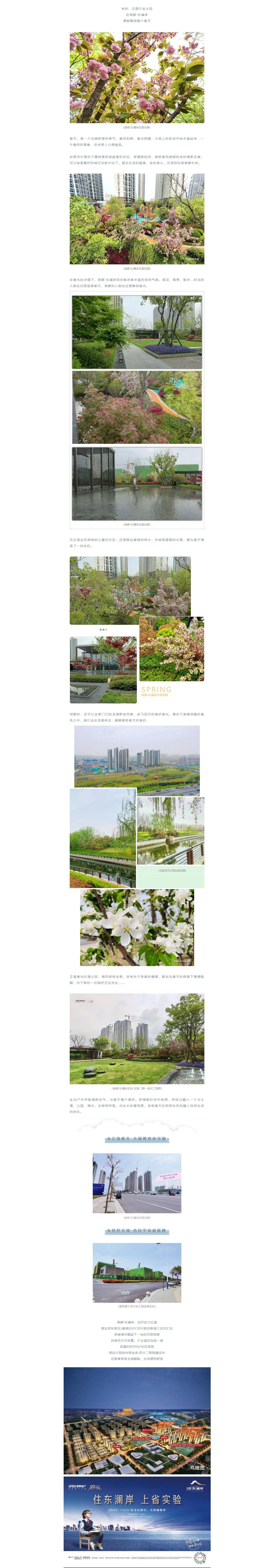 赏花踏青，来一场和春天的约会